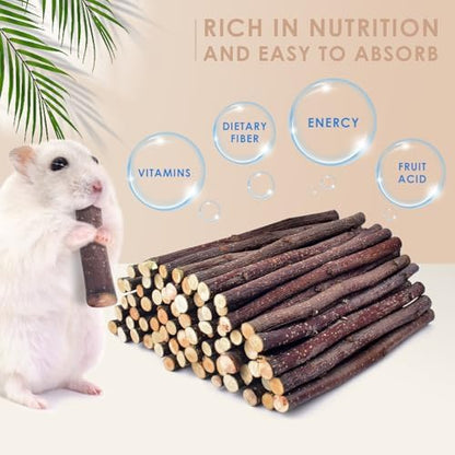 Bissap 460g/1lb Natural Apple Wood Sticks, Molar Chew Toys for Small Pet