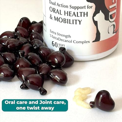 1-TDC Dual Action Joint & Gum Support Soft Gels for Dogs & Cats - 60 ct