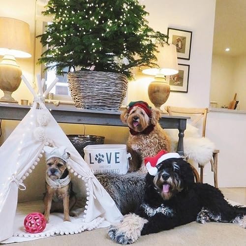 MINICAMP Pet Teepee Bed for Dogs and Cats – Cozy Indoor Dog Tent with Natural Cotton– Luxury Pet House & Hideaway Bed for Small to Large Dogs, Cats & Small Animals - Made in EU (Large)