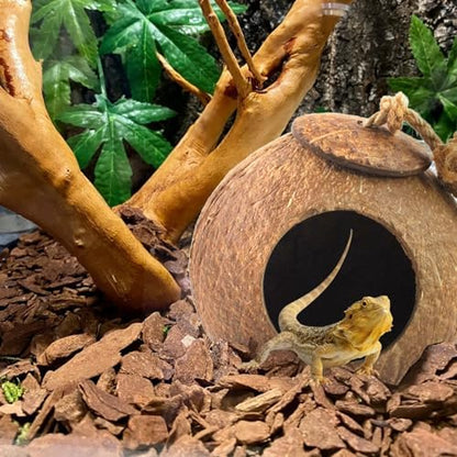 Crested Gecko Coconut Hide Natural Lizard Coco Hut Reptile Hanging Nest Flexible Vine Habitat Decoration Bearded Dragon Terrarium Accessories for Chameleon Tree Frog Snake Hermit Crab