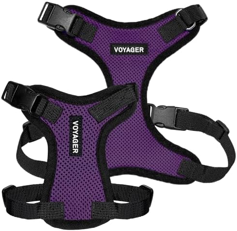 Voyager Step-in Lock Dog Harness - Purple/Black Trim, X-Large