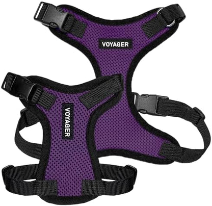 Voyager Step-in Lock Dog Harness - Purple/Black Trim, X-Large