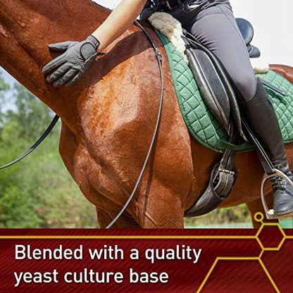 Vita Flex Pro E & Selenium Supplement for Horses, 320-Day Supply