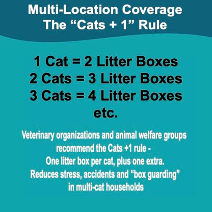 Disposable Cat Litter Box, 5-Pack (Large) – Extra Thick & Sturdy, Leak Resistant, No Scrubbing, Odor Resistant, Biodegradable Recycled Pulp – Multi-Location Coverage