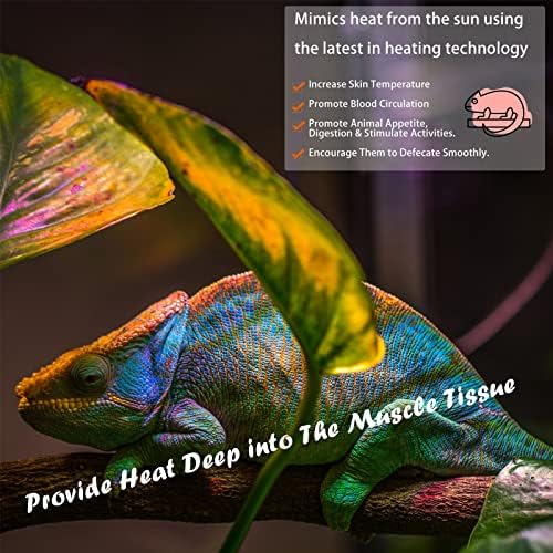 Deep Heat Projector Reptile Heat Lamp Bulb (DHP 75W, PAR30), Basking Light for Bearded Dragon & Leopard Gecko, Carbon Infrared Heater for Amphibian Pet