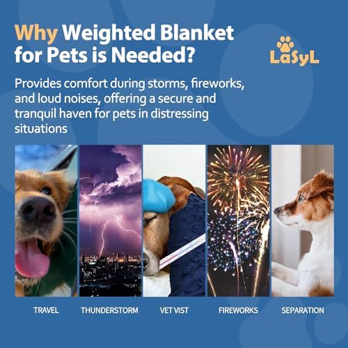 LaSyL Weighted Blanket for Pets | Thunder Blanket for Dogs Anxiety | Premium Soft Minky | Relaxation & Calming & Anti Anxiety | Used in Car, Bed, Couch | Blue Grey Star, Washable Small (24"x32")