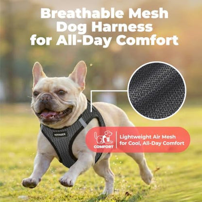 Voyager Step-in Air Dog Vest Harness - Gray 2-Tone, Large