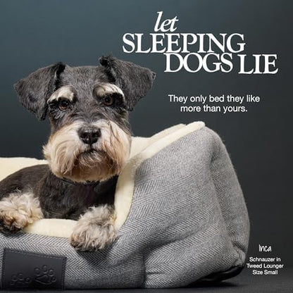 Pet Passion Mello- The Ultra Luxe Bolster Dog Bed with Removable Washable Pillow for All Pet Breeds, Charcoal Tweed, Medium
