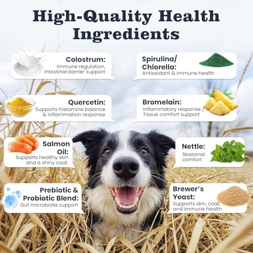 Dog Allergy & Immune Chews 300 Treats, Itching Skin Relief Chews Omega 3 Fish Oil Probiotics for Seasonal All Issues Allergies Skin & Hair, Gut, Immune-All Ages & Sizes Dogs Made in USA Chicken Flavor
