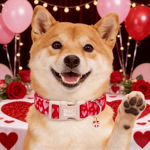Valentine's Lovely Pink Heart Dog Collar for Medium Dogs