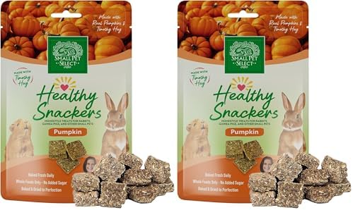 Small Pet Select - Healthy Snackers - Pumpkin (Pack of 2)