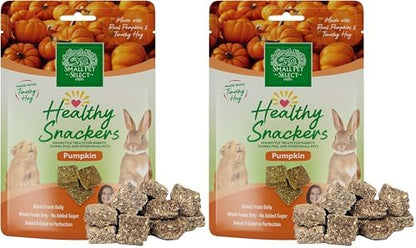 Small Pet Select - Healthy Snackers - Pumpkin (Pack of 2)