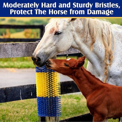 3 Pack Livestock Scratching Brush, Yellow and Blue