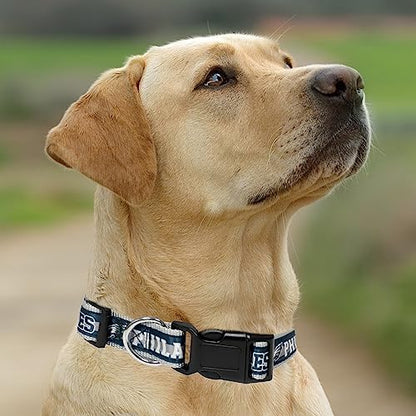 Pets First NFL Philadelphia Eagles Licensed PET COLLAR, Medium - Heavy-Duty, Strong, and Durable Dog Collar. Available in 31 Football Teams and 4 Sizes