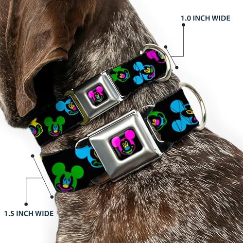 Buckle-Down Seatbelt Buckle Dog Collar - Mickey Mouse Expressions Scattered Black/Multi Neon - 1" Wide - Fits 11-17" Neck - Medium