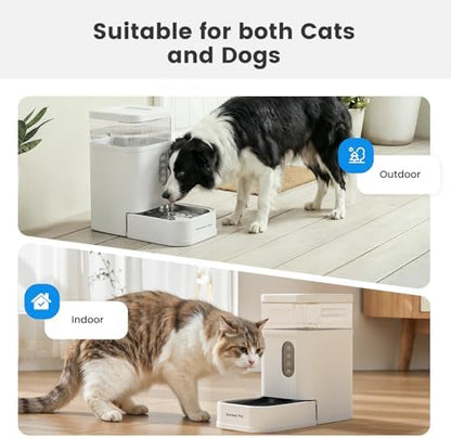 2.2 Gallon Automatic Dog Water Dispenser with Stainless Steel Bowl