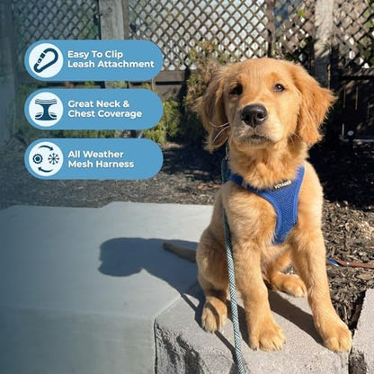 Best Pet Supplies Voyager Step-in Air All Weather Mesh Harness and Reflective Dog 5ft Leash Combo with Neoprene Handle, for Small, Medium and Large Breed Puppies - Royal Blue, XXX-Small