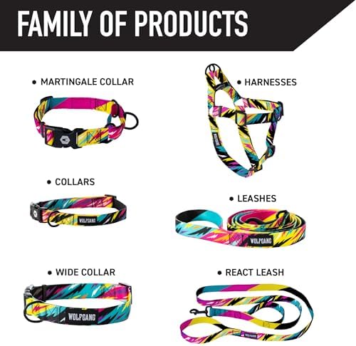 Wolfgang 1 Inch Venture Dog Leash Fuzzytails Print Small