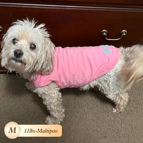 KYEESE 2Pack Cotton Dog Shirt for Small Dogs Soft Striped Tank Top