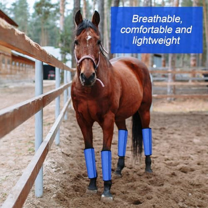 8 Pcs UV Mesh Horse Fly Boots