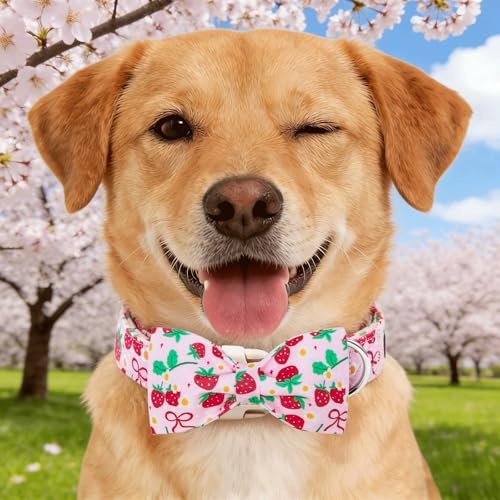 Dog Collars, Spring Red Strawberry Print Cotton Collar Pink Adjustable Light Plastic Buckle Collar with Bow Pet Collar Gift for Large Dogs