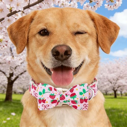 Dog Collars, Spring Red Strawberry Print Cotton Collar Pink Adjustable Light Plastic Buckle Collar with Bow Pet Collar Gift for Medium Dogs