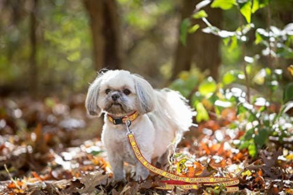 NCAA PET Leash, Small, USC Trojans, Shiny & Colorful Leash for Dogs & Cats Licensed by The NCAA