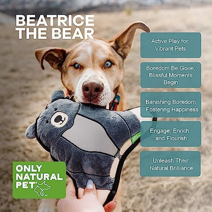 Only Natural Pet Mountain Friends Recycled Plush Dog Toys - Durable Double-Stitched Design with Internal Squeaker & Crinkly Ears - Stuffed Toy for Dogs, Squeaky Pet Toy | Beatrice the Bear, 9" x 9.5"