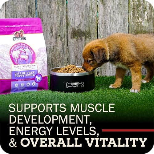 Redbarn Whole Grain Adult Dry Dog Food Kibble - Sky Chicken Recipe - Made in USA Recipe with Functional Ingredients to Support Healthy Heart, Skin, Coat, Immunity & Digestion - 4lb