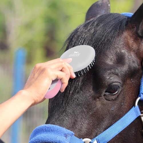 Harrison Howard Horse Mane and Tail Brush - Professional Equestrian Detangler Non-Slip Brush - Pink