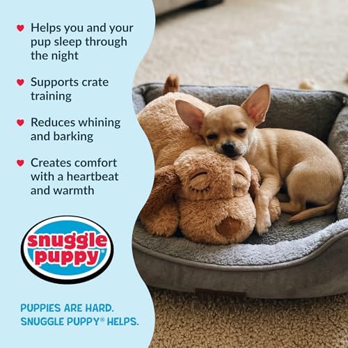 Snuggle Puppy Junior Heartbeat Toy, Calming Comfort, Small Breeds - Biscuit