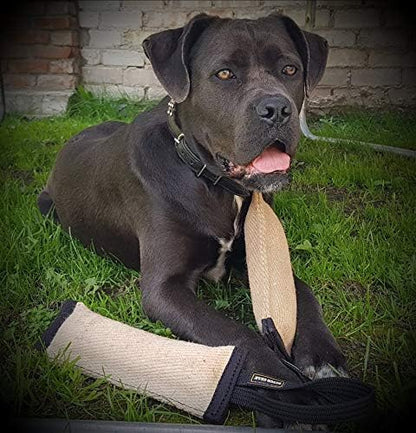 Dingo Gear Tug Toy for Dog Training Agility Tug of War, Jute Dog Bumper with one Handle, Dog Bite Pillow for Aggressive Chewers, 16" S00147