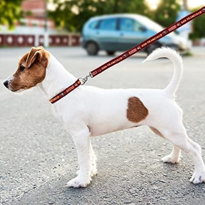 Pets First NFL San Francisco 49ers Licensed PET COLLAR, Extra Large - Heavy-Duty, Strong, and Durable Dog Collar. Available in 31 Football Teams and 4 Sizes