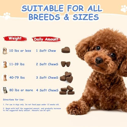 Dog Allergy Chews, Itchy Skin & Paw Licking Support, Probiotics for Dogs, Immune & Gut Health, Seasonal Allergy Formula, Skin & Coat Health, Chicken Flavor Soft Chews, 200 Ct, BlueRed