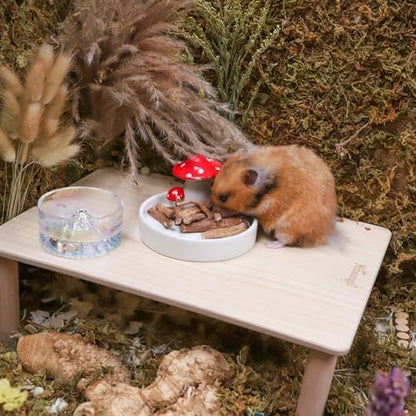 Niteangel Hamster Snack & Treats Toy: Dried Dandelion Roots No Additive