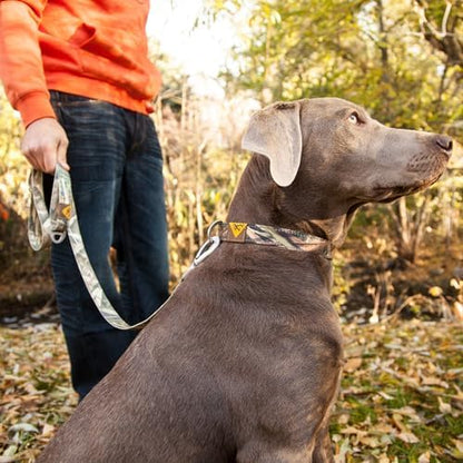 Browning Pet Leashes, Classic Webbing Camo Leash One Size, One Size, Realtree MAX-7