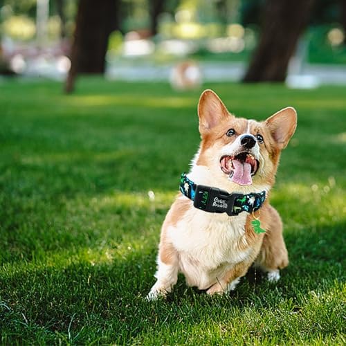 Dog Collar-Black Dinosaur Adjustable Pet Collars Comfortable Spring Summer Puppy Collar Cute Durable Cotton Collars for Small Dogs