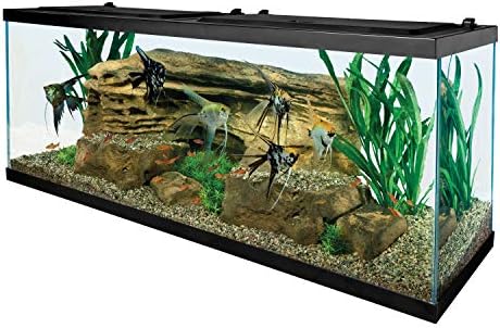 Tetra 55 Gallon Glass Aquarium, Rectangular Fish Tank