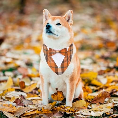 ADOGGYGO Fall Dog Tuxedo Collar, Orange Plaid Dog Thanksgiving Outfit, M
