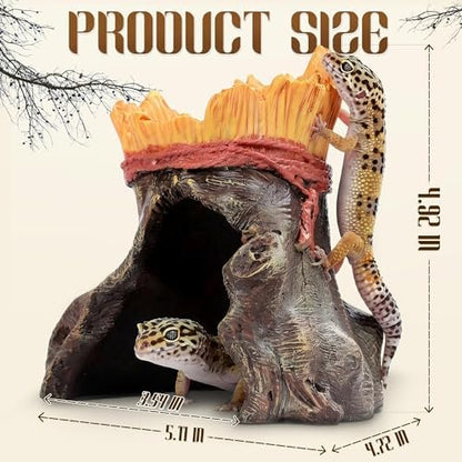 Resin Reptile Hide with Integrated Basin – Decorative Cave & Bowl for Terrarium Setup, Suitable for Bearded Dragon, Gecko, Turtle, Snake, Spider, Frog, Scorpions