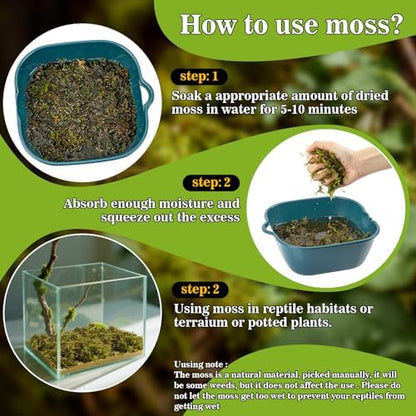 Sukh Sphagnum Moss for Reptiles - 5.5 OZ Reptile Peat Moss Terrarium Bedding Reptiles Lizard Substrate for Reptile Tank, Snake, Leopard Gecko, Ball Python, Crested Gecko, Turtle, Frog, Hamster