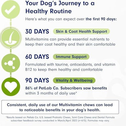 Dog Multivitamin-22‑in‑1 Multivitamin Chews for Dogs, Digestive and Immune Supplement Supports Skin Coat Joint Immunity for All Breeds