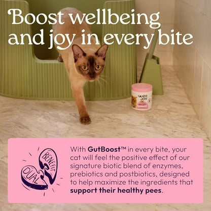 WellJoy Urinary Cat Supplement + D-Mannose, Cranberry, GutBoost, 90ct