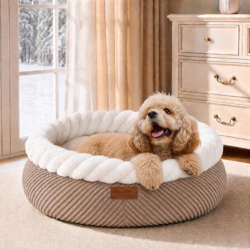 FUKUMARU Cute Cat Bed, 25in Large Round Cat Beds for Indoor Cats, Washable