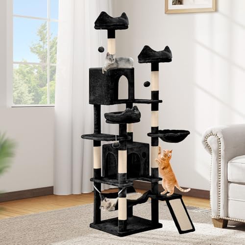 DWVO 75 in Multi‑Level Cat Tower