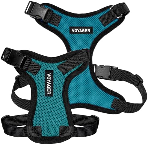 Voyager Step-in Lock Dog Harness - Turquoise/Black Trim, Medium