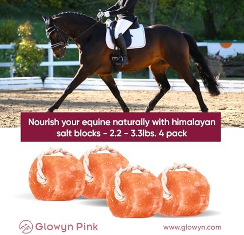 Himalayan Mineral Salt Block on Rope Pack of 4 (3lbs each) – 100% Organic Pink Salt Lick for Horses and Livestock. Deer Attractant with No Harmful Elements.