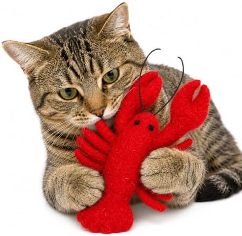 Glaciart One Wool Lobster Cat Toy with Catnip | Interaction & Boredom Relief, Encourages to Exercise, Explore & Play | Filled w/Organic Herbs to Help Sooth or Reduce Anxiety