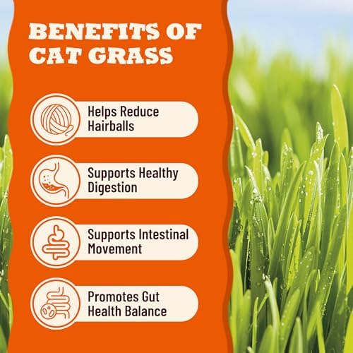13.05oz Cat Grass Treats for Indoor Cats with Taurine for Cats