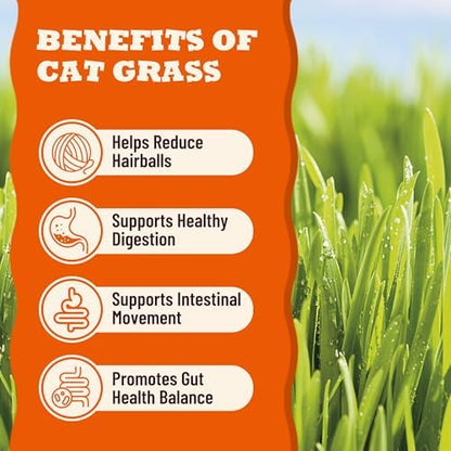 13.05oz Cat Grass Treats for Indoor Cats with Taurine for Cats